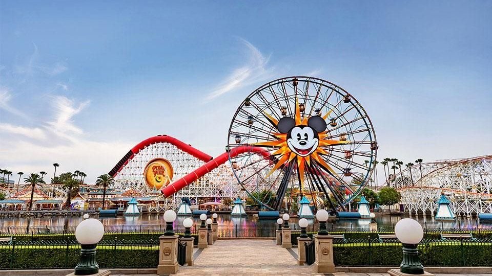 DTVA News tweet media