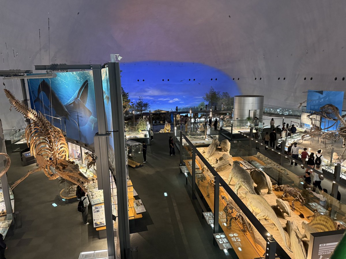 KEN@FK7マイルドスピード tweet media