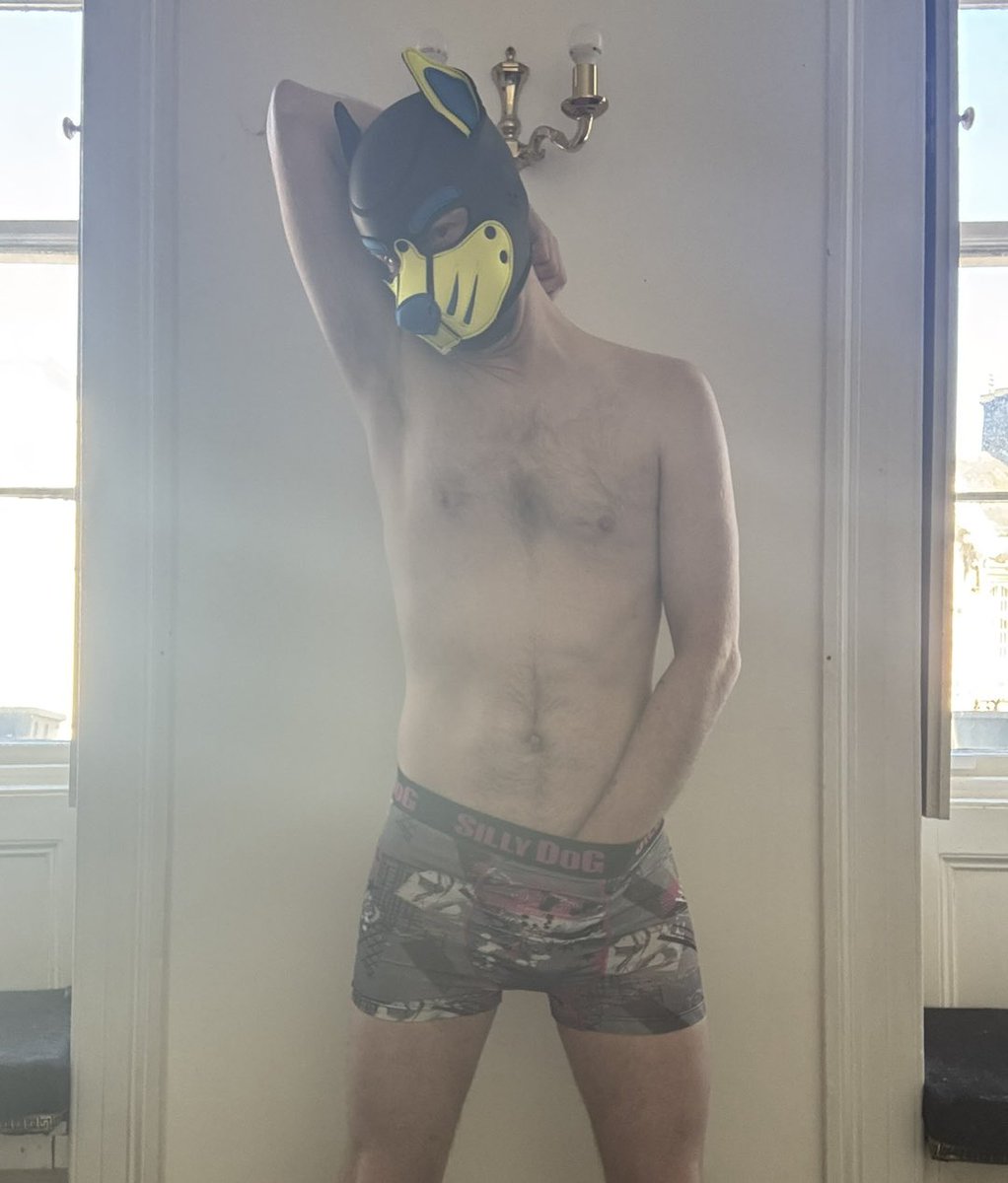 Helios Cobalt 🔜 KK & Collared tweet media