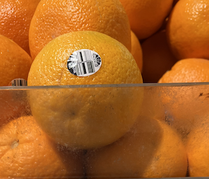 💧Michael West tweet media