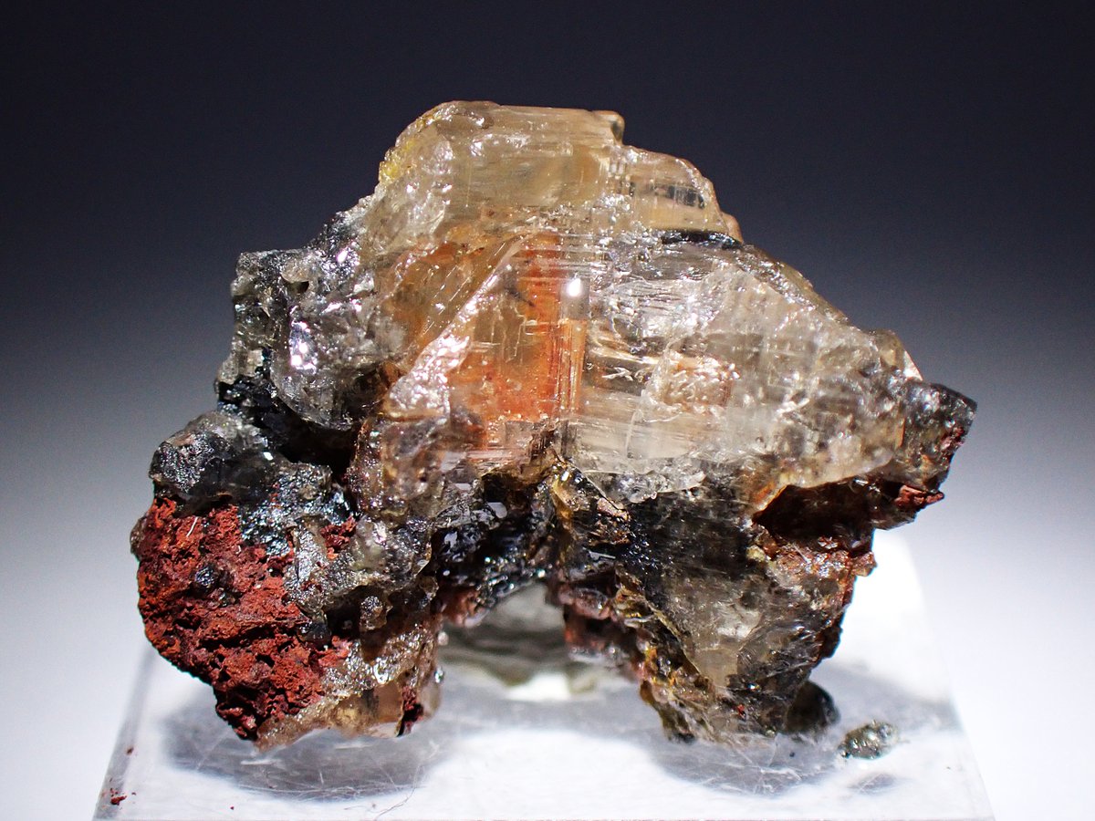 うらしー tweet media