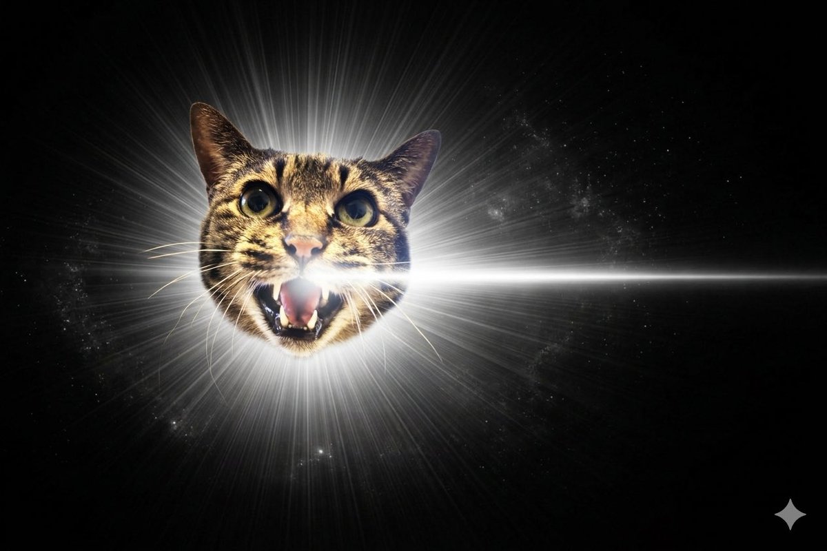 ササキオーモリ tweet media