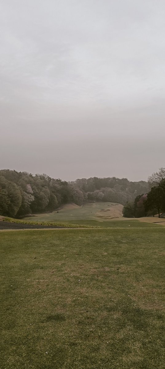 やすとんき🔪 tweet media