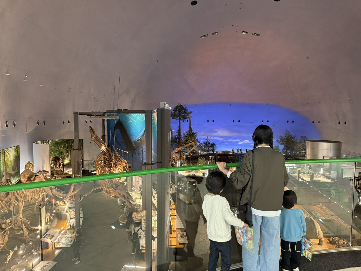 KEN@FK7マイルドスピード tweet media