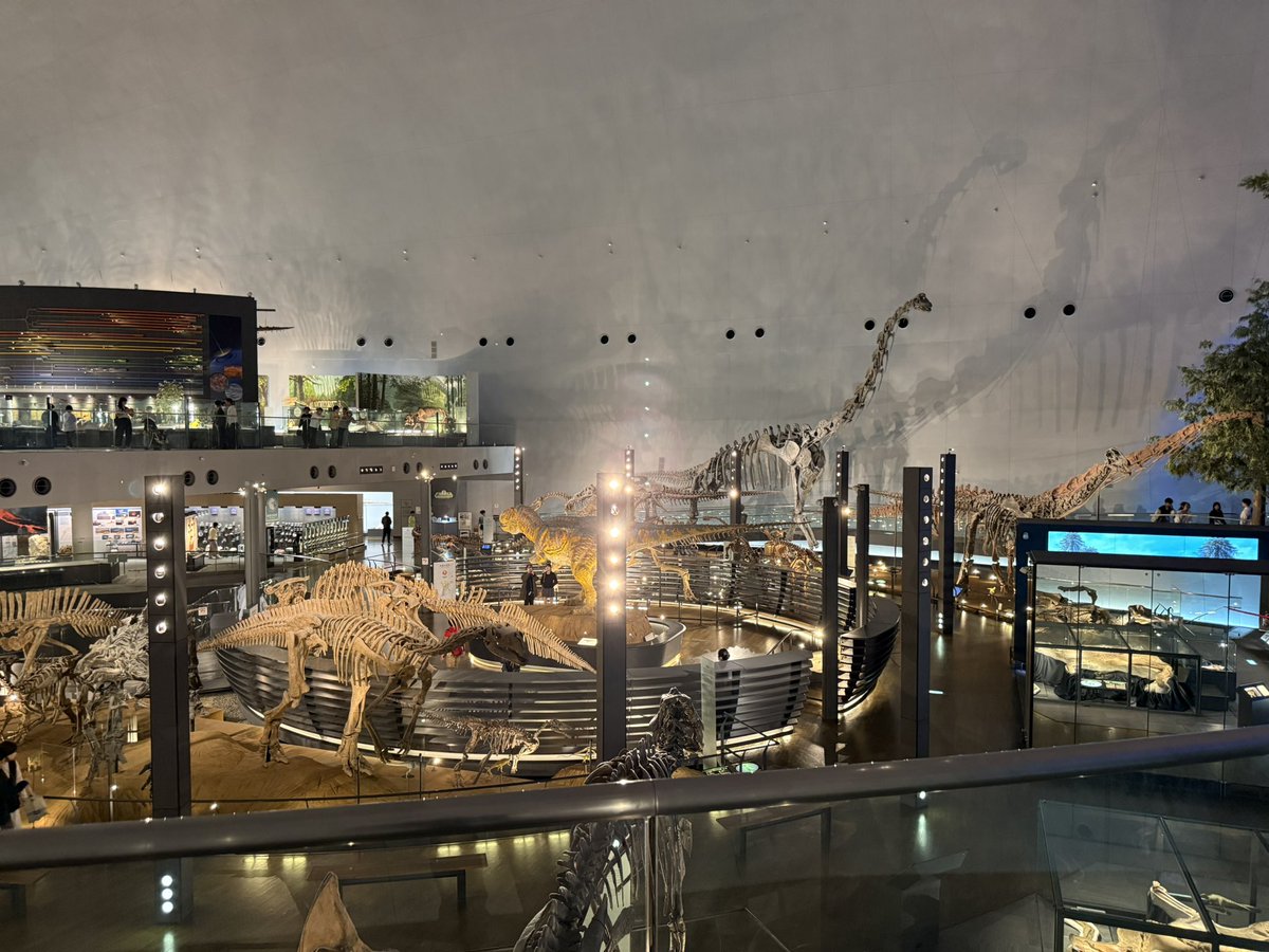 KEN@FK7マイルドスピード tweet media