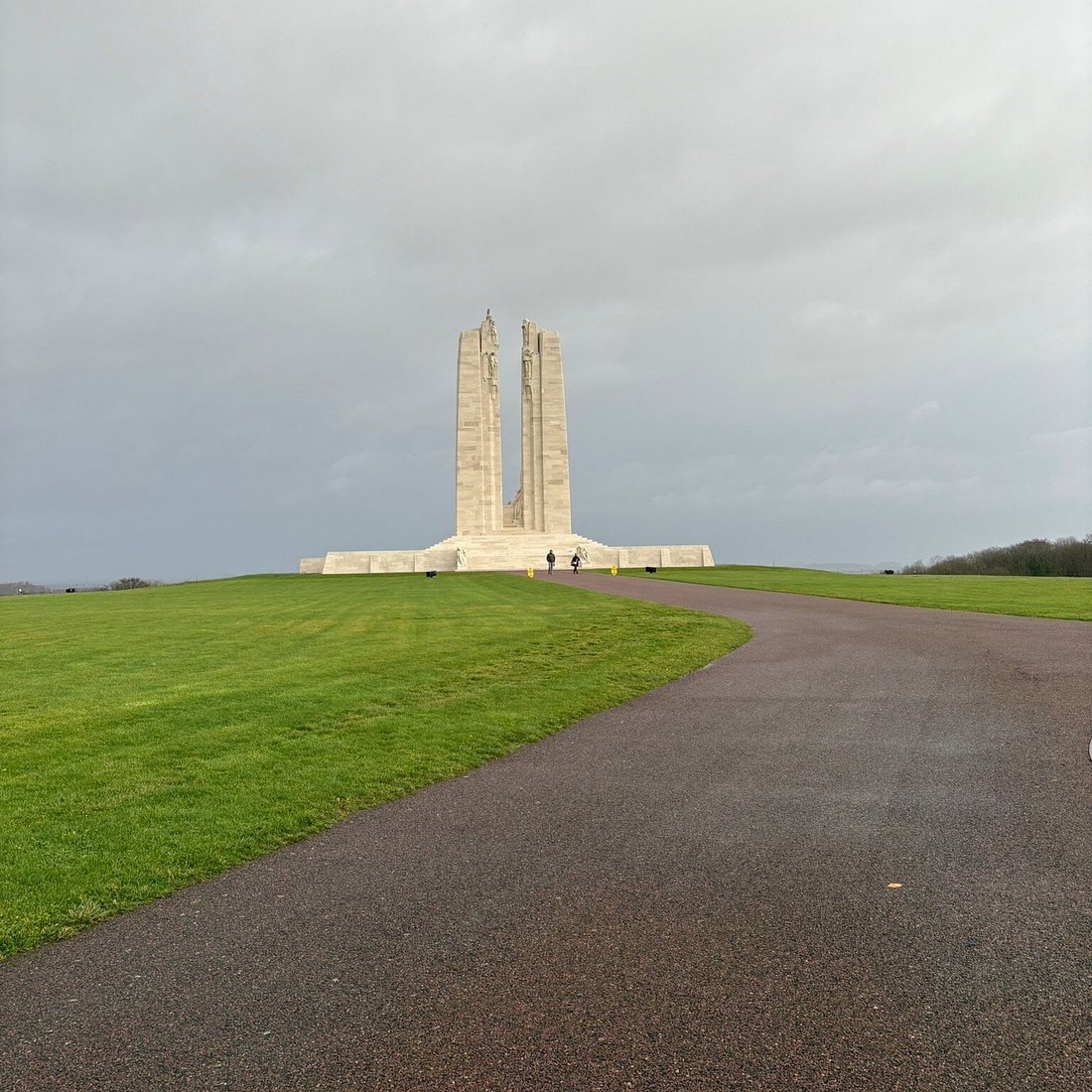 瑞典茉莉 tweet media