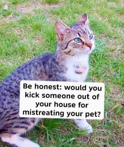 Mary 🕊️ tweet media