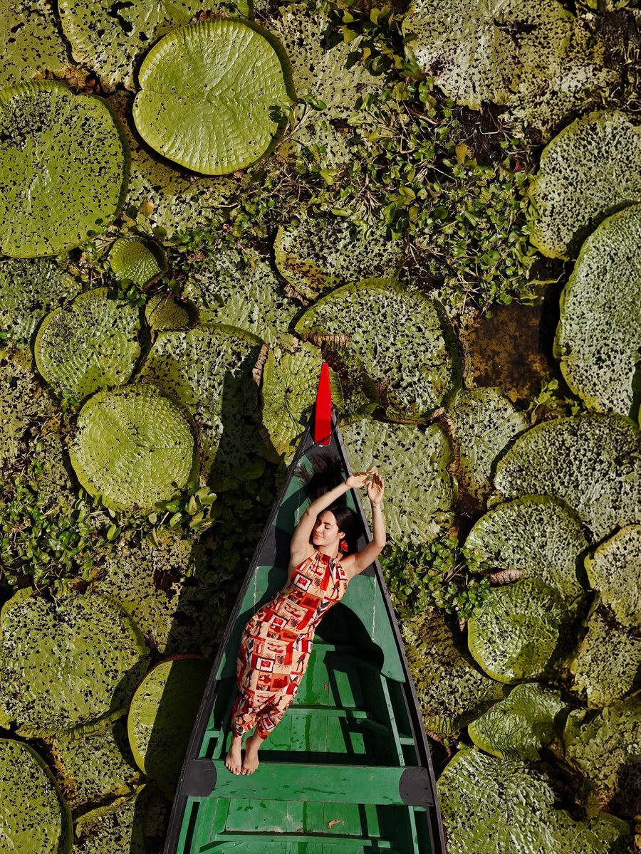 kat encantarias tweet media