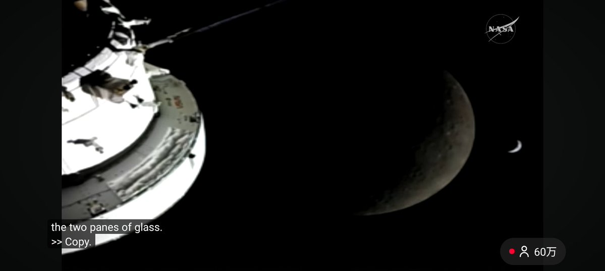 ごりまる🐺 tweet media