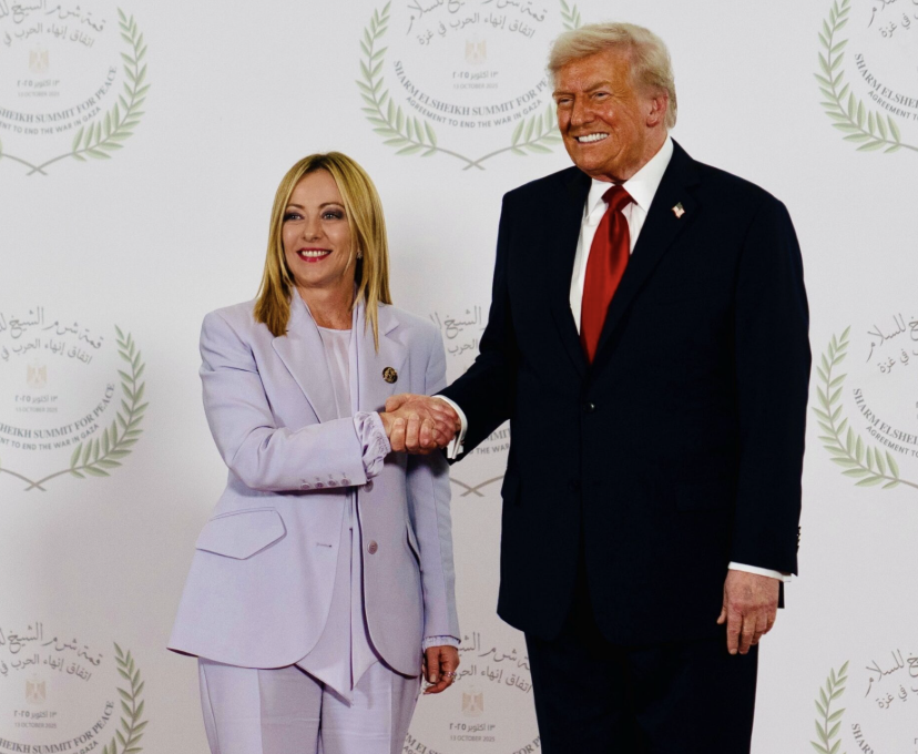 Diana Lanciotti tweet media