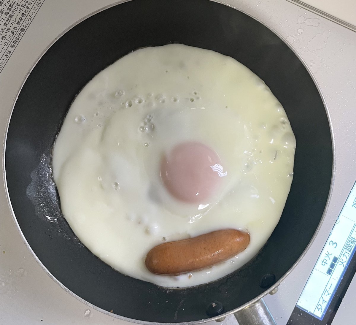 たぬきち tweet media