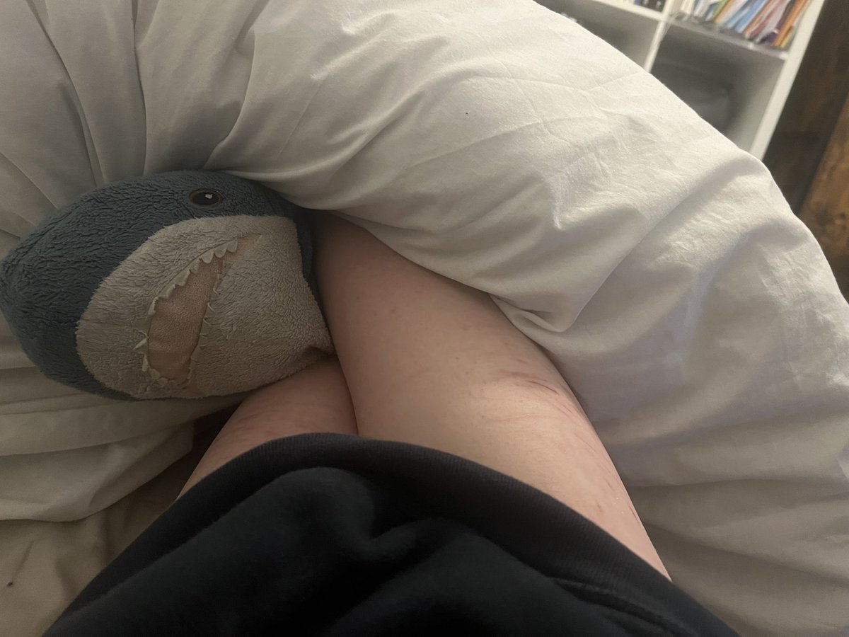 Hazel ΘΔ tweet media