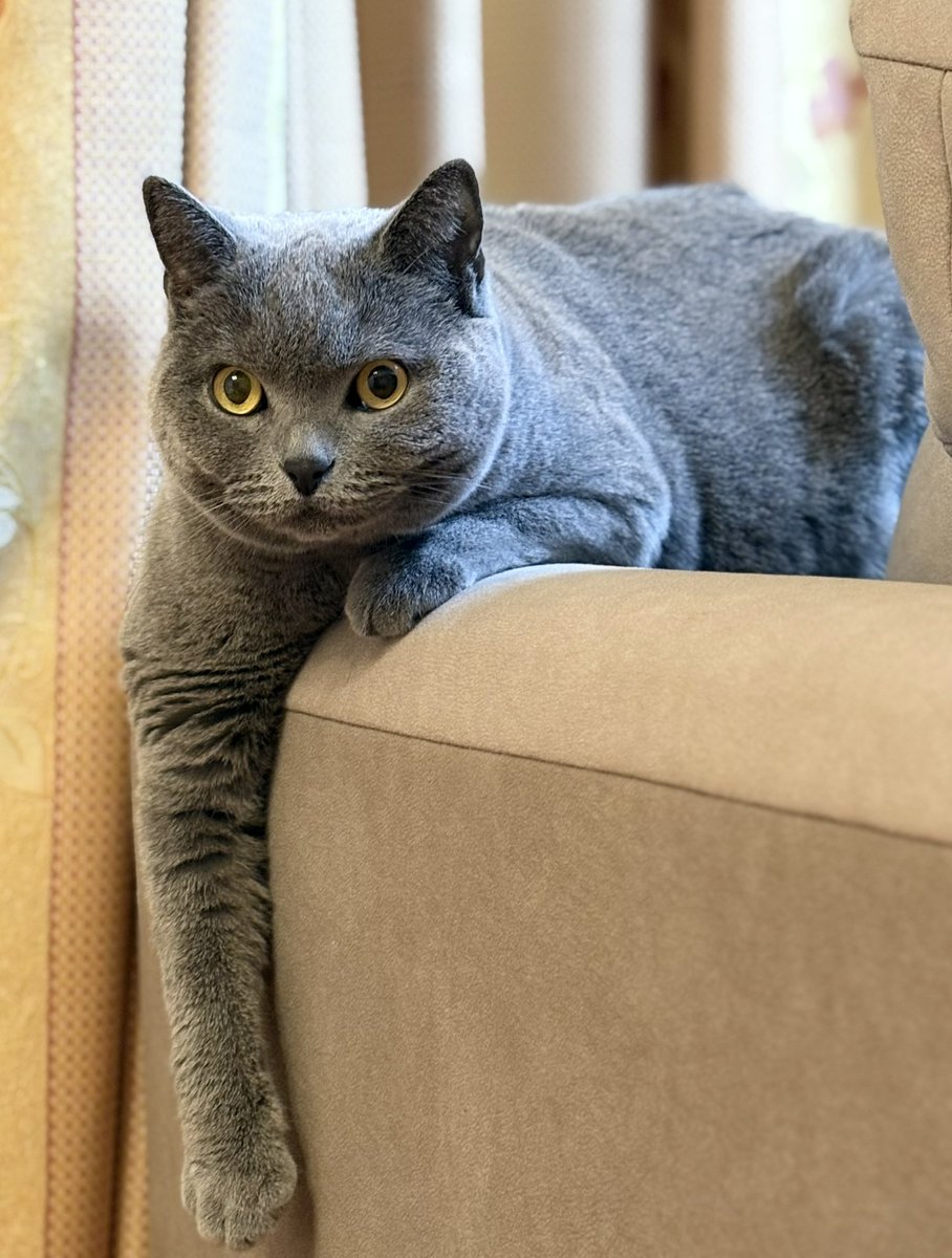 ちゃみ tweet media