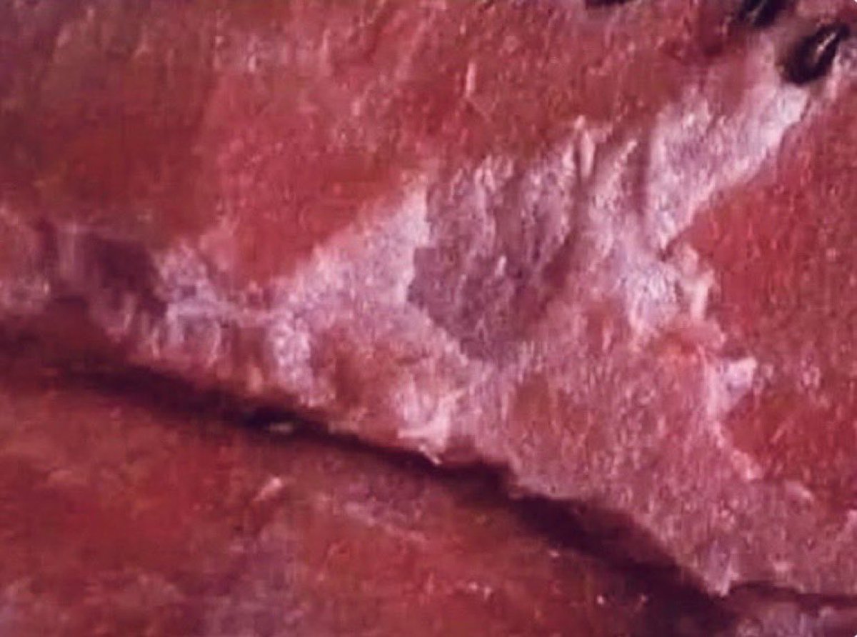 سقراط🌟 tweet media