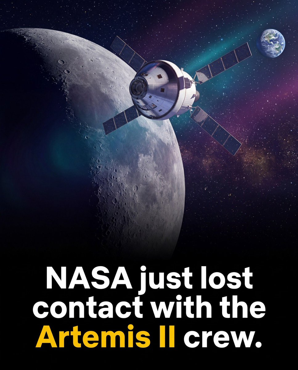 ThePulseBrief tweet media