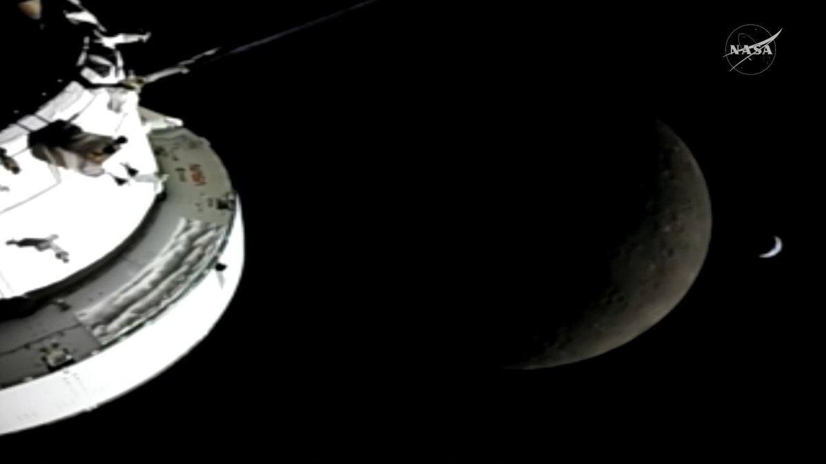 FayeWilde 🌿 tweet media