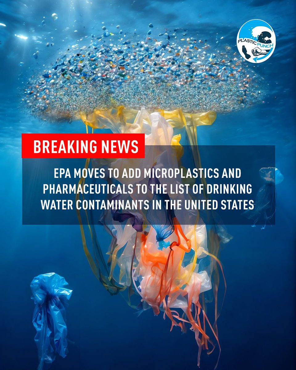 #PLASTICPUNCH tweet media