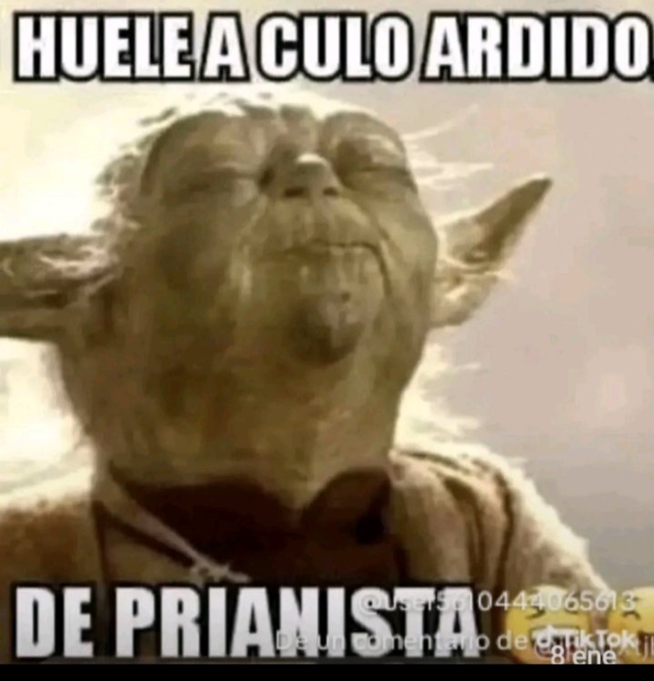 arzate_22's tweet photo. @MLopezSanMartin Deja de mentir 😂 orejón.
Mañana salgo a CTM por el AIFA, voy a grabar videos y tomaré fotos, para que te los meta por el #Asterisco ✳️🤣, así que ve poniendote cremita para que no te arda mucho. 
#PrensaBasura
#OposicionMasPendejaHaExistido https://t.co/YWiBvYqsXM
