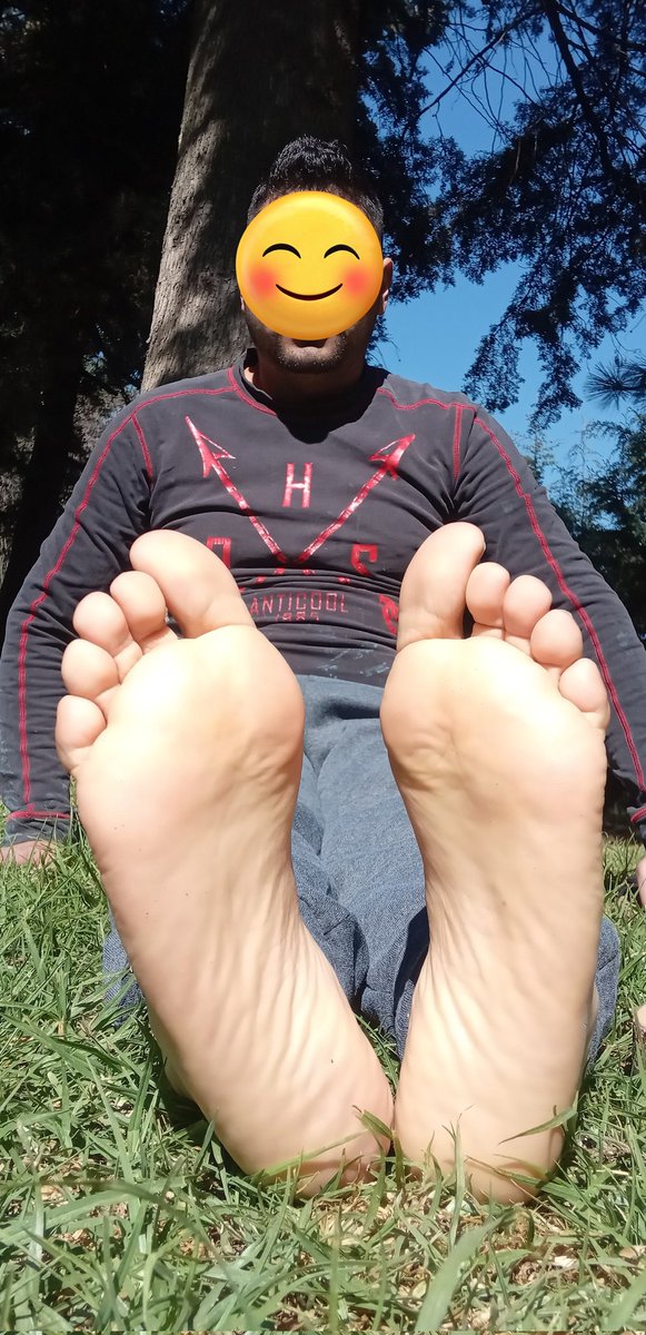 Pies Toluca tweet media