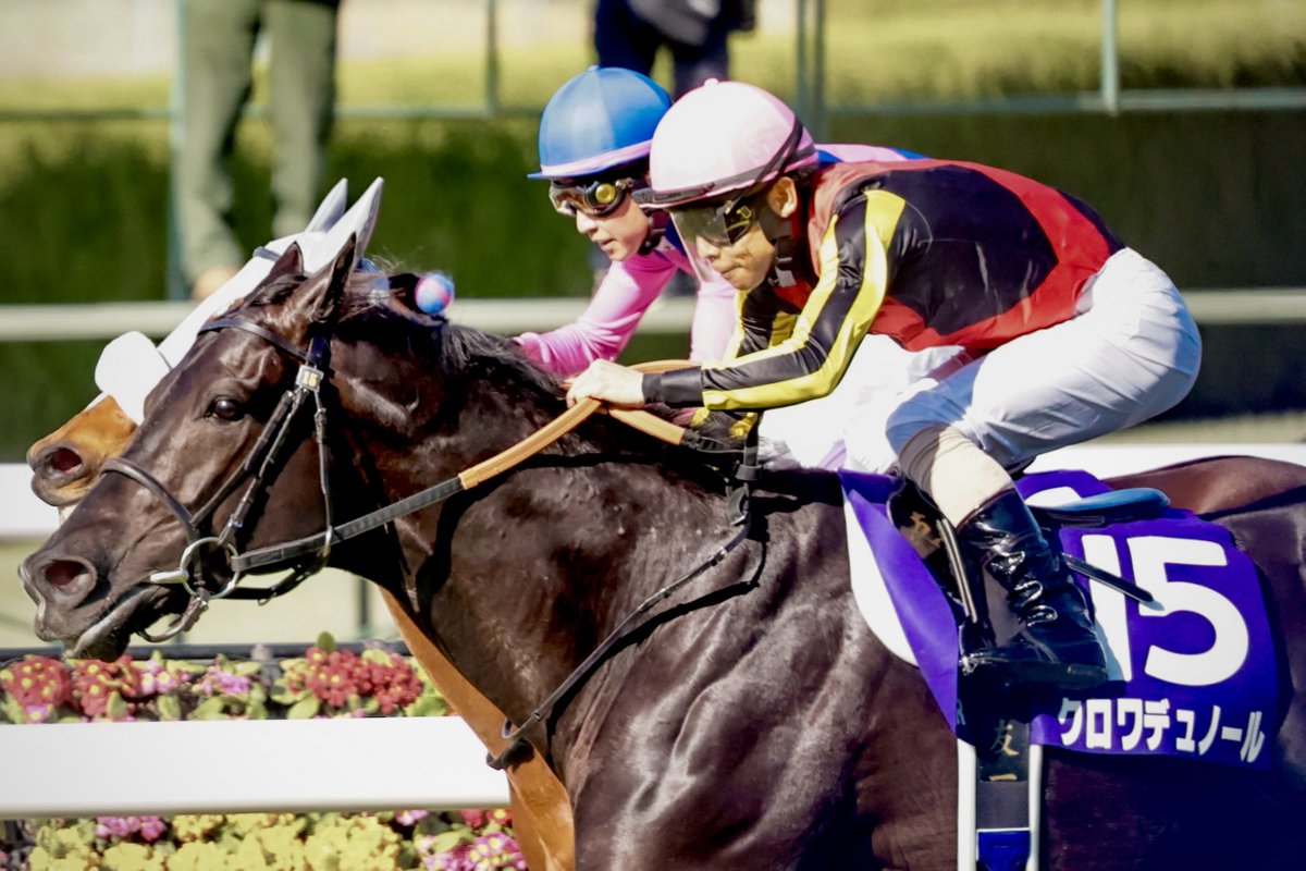 M i k a 。。* tweet media