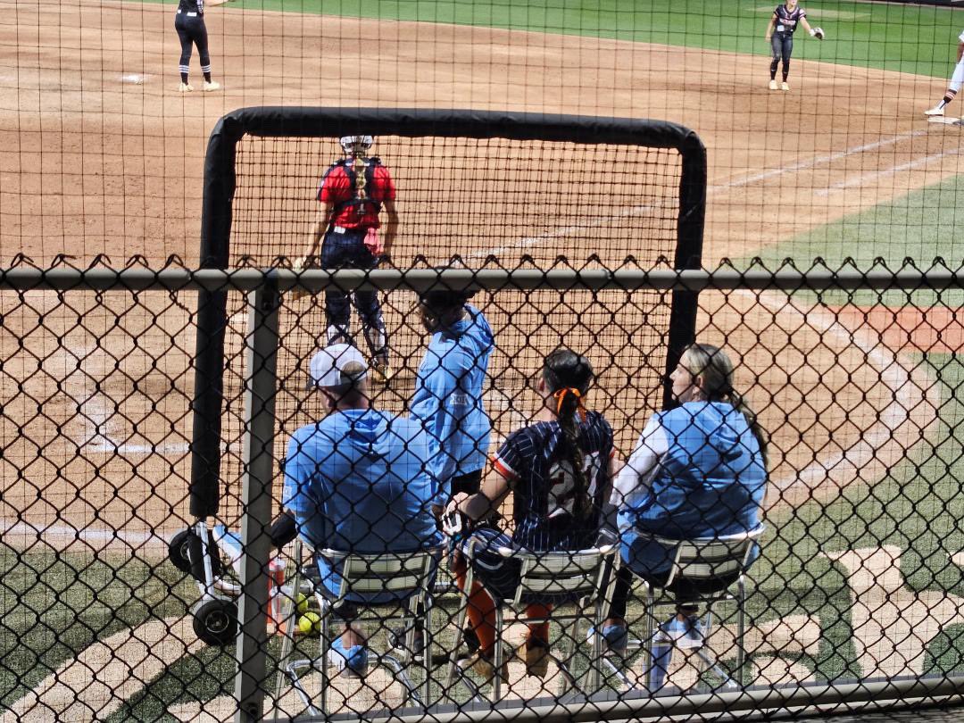 Lolly Lane tweet media