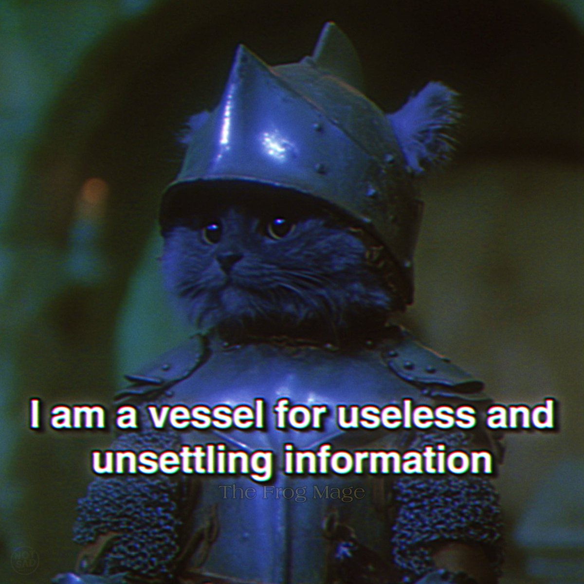 The Frog Mage tweet media