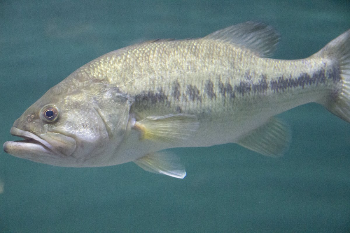 栗林拓也＠bell&joy tweet media