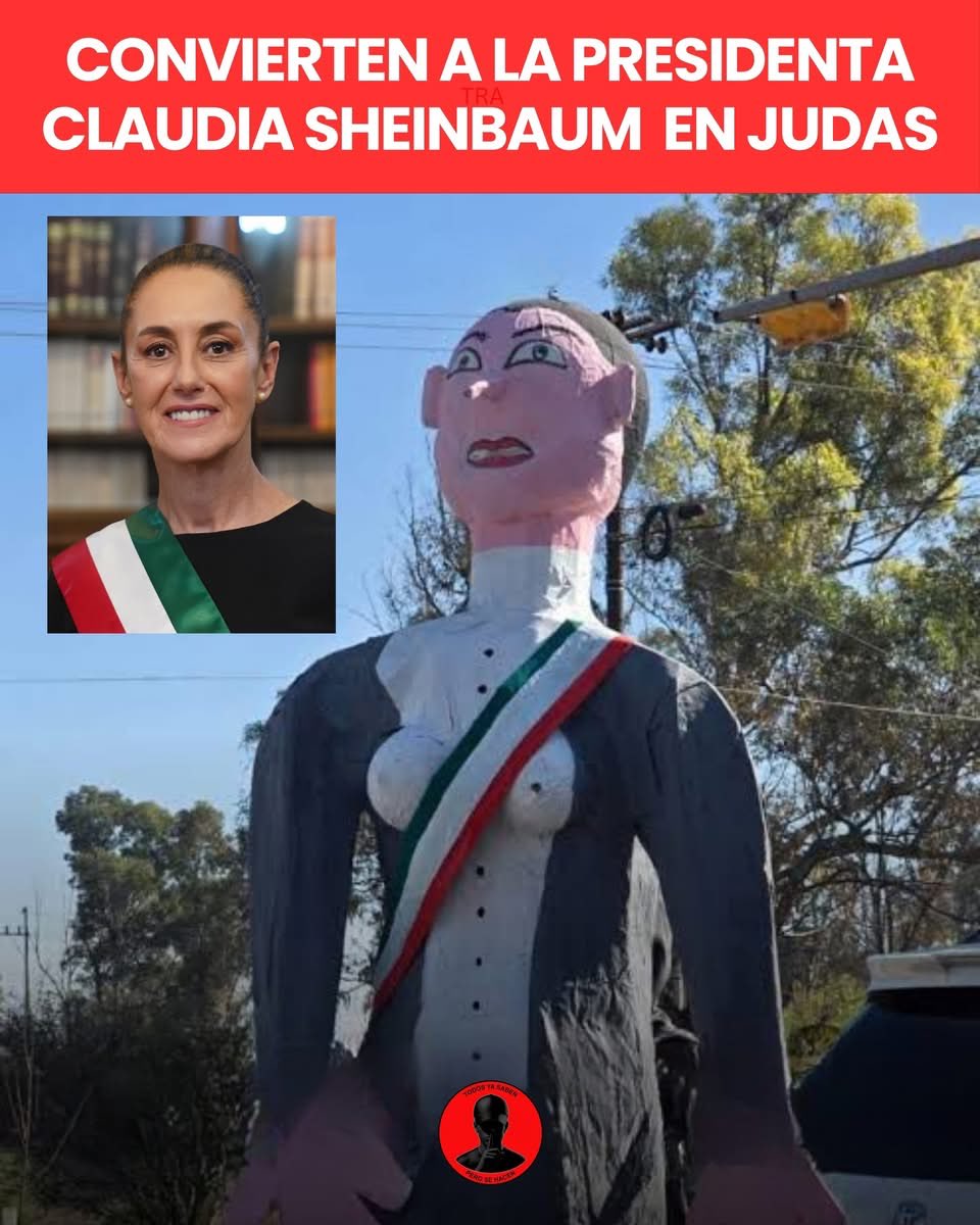 DRA. MERCEDES PAVON "SUPERMUELITA FIFÍ" tweet media