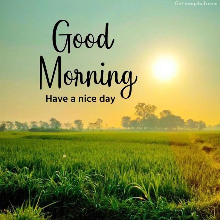 Garima Megh tweet media