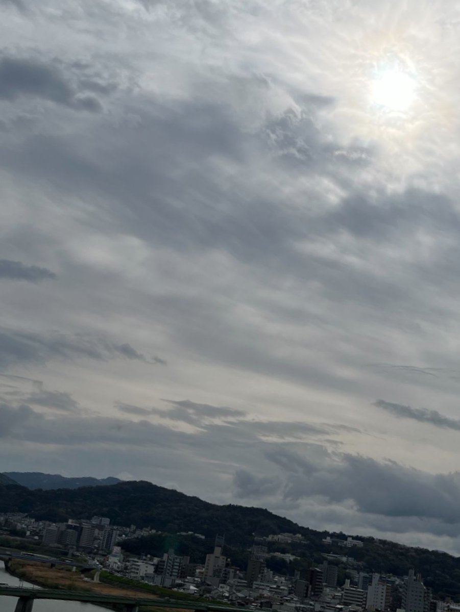 エルモ🚶‍♀️家でリハビリ中🏠 tweet media