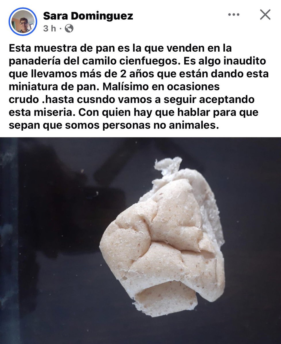 Mayra Dominguez tweet media