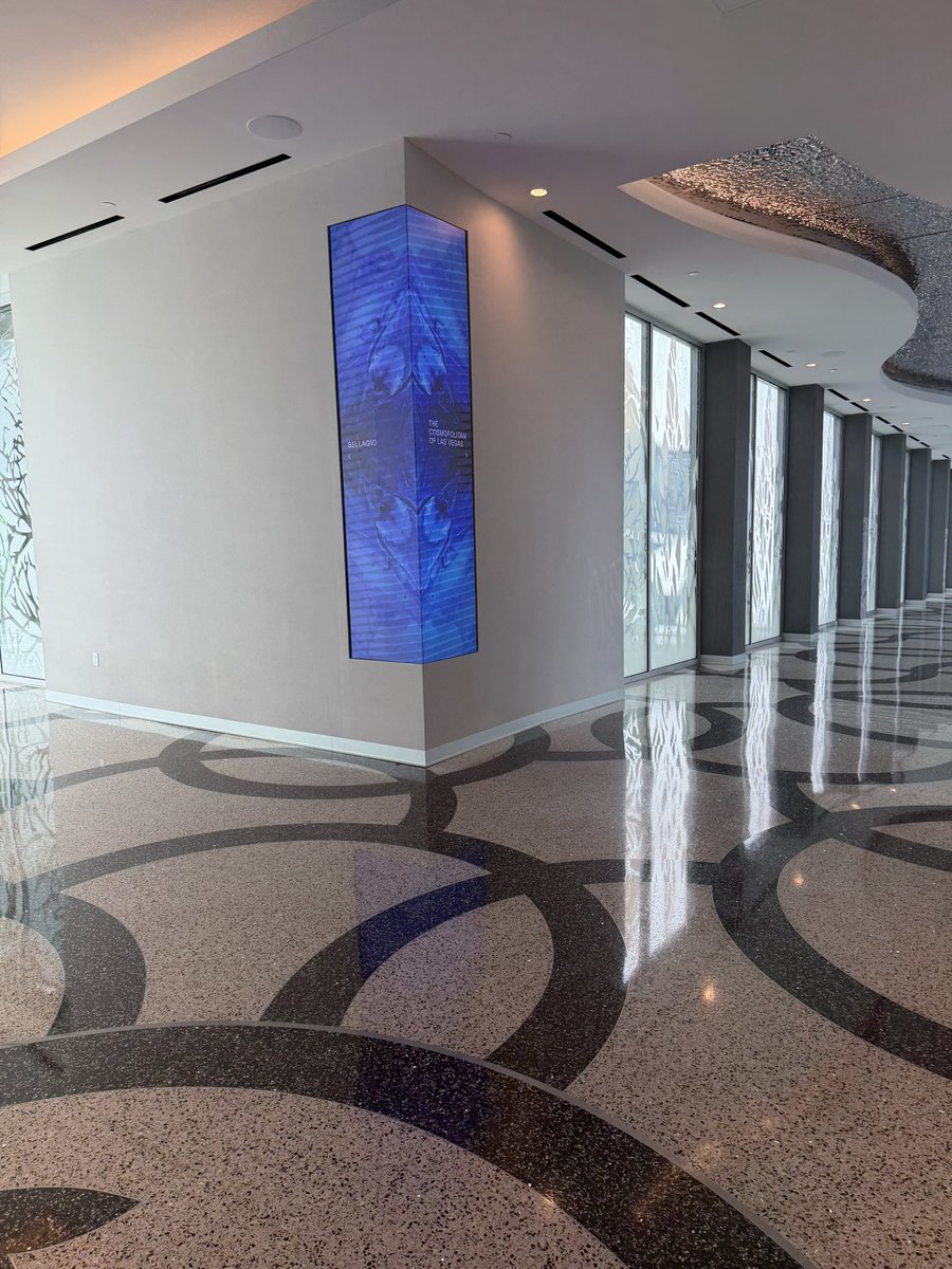 Vegas Lee tweet media