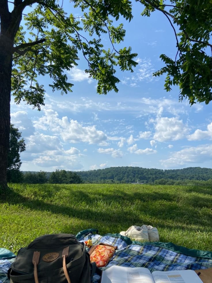 𝑝𝑢𝑟𝑒 tweet media