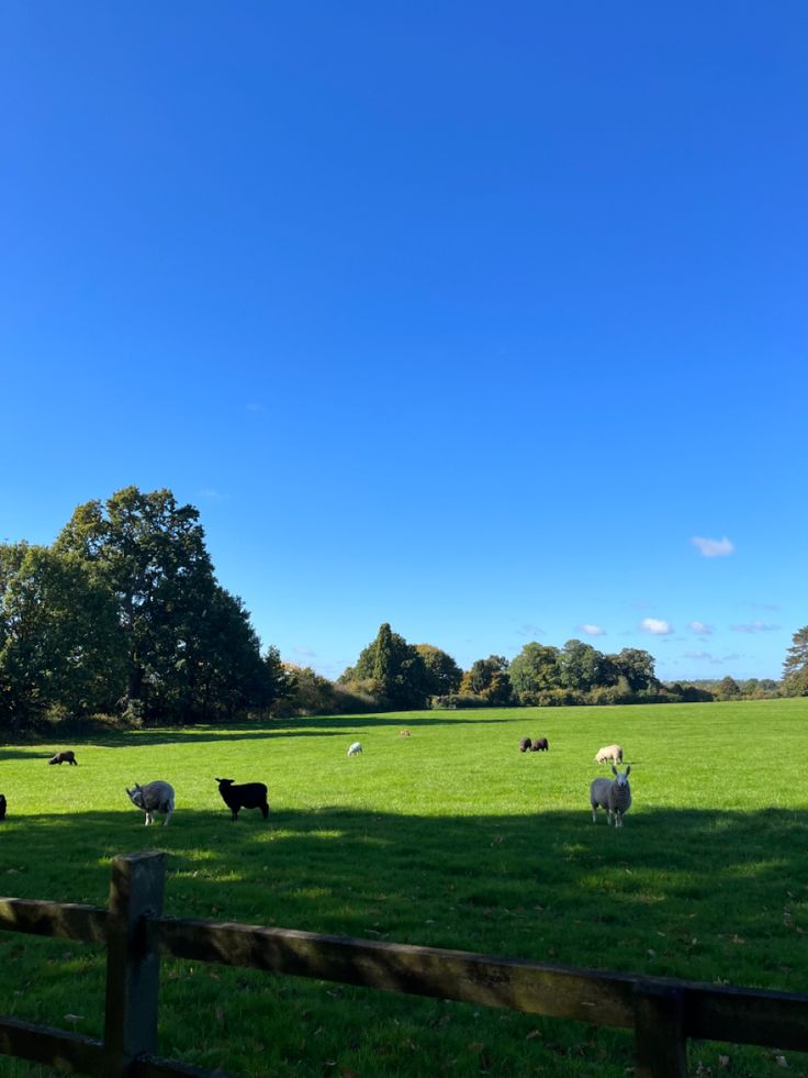 𝑝𝑢𝑟𝑒 tweet media