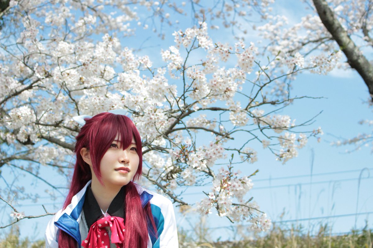 藍翔 --アイト-- tweet media