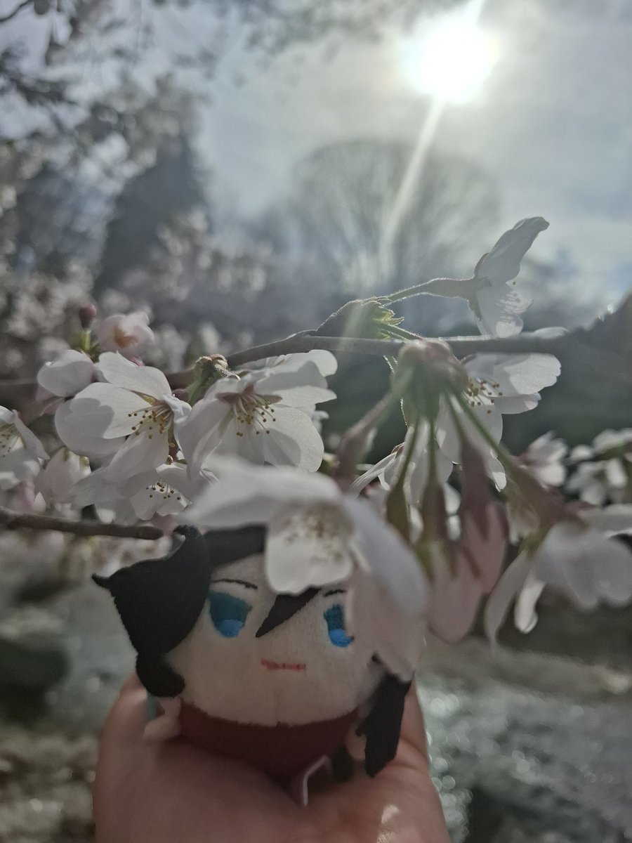 おはようございます☔
桜🌸やっと咲いたのに
雨降り〜
全部散ってしまうかな〜😅