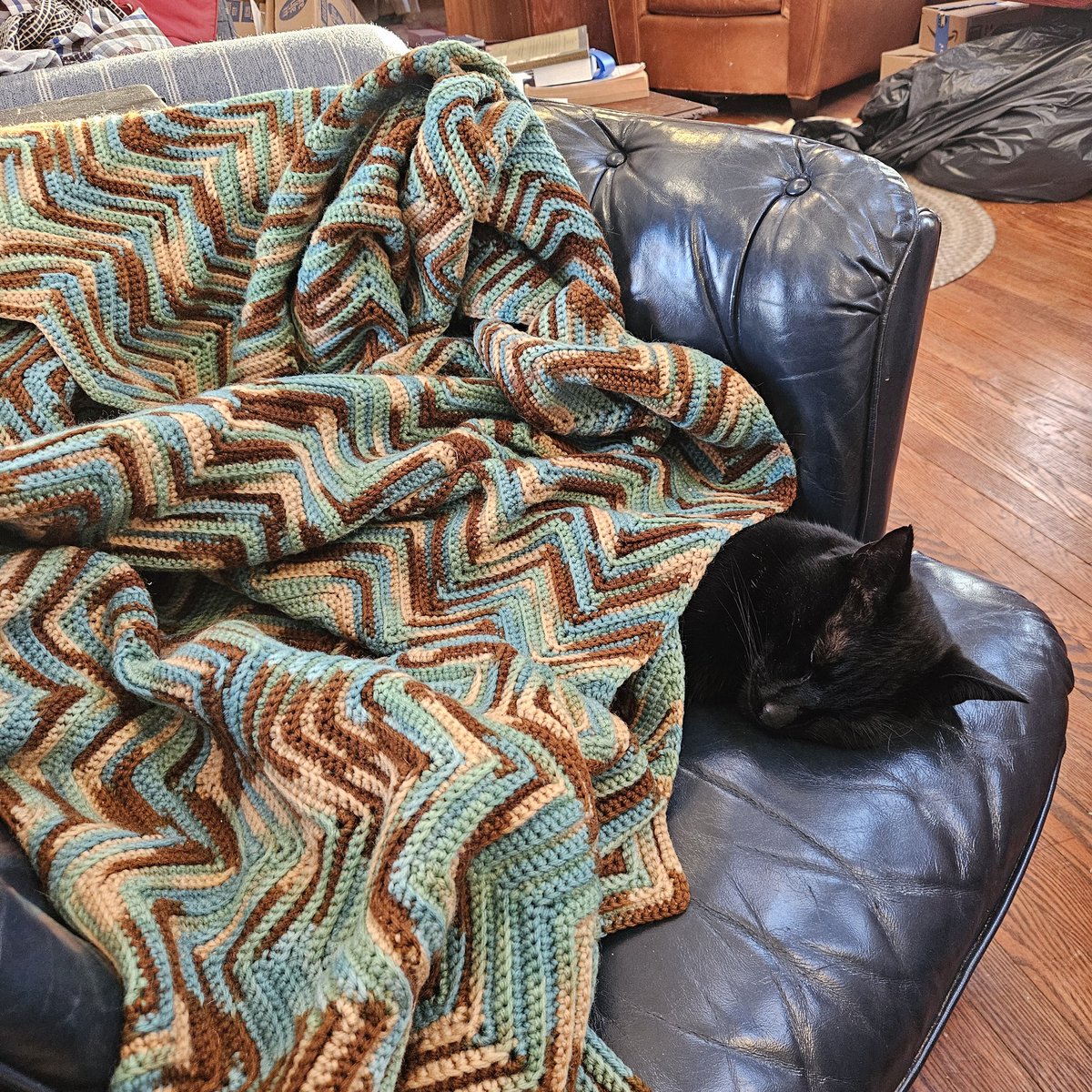 johnosisto's tweet photo. The world's most spoiled cat... . https://t.co/Ptwc1bWbQz