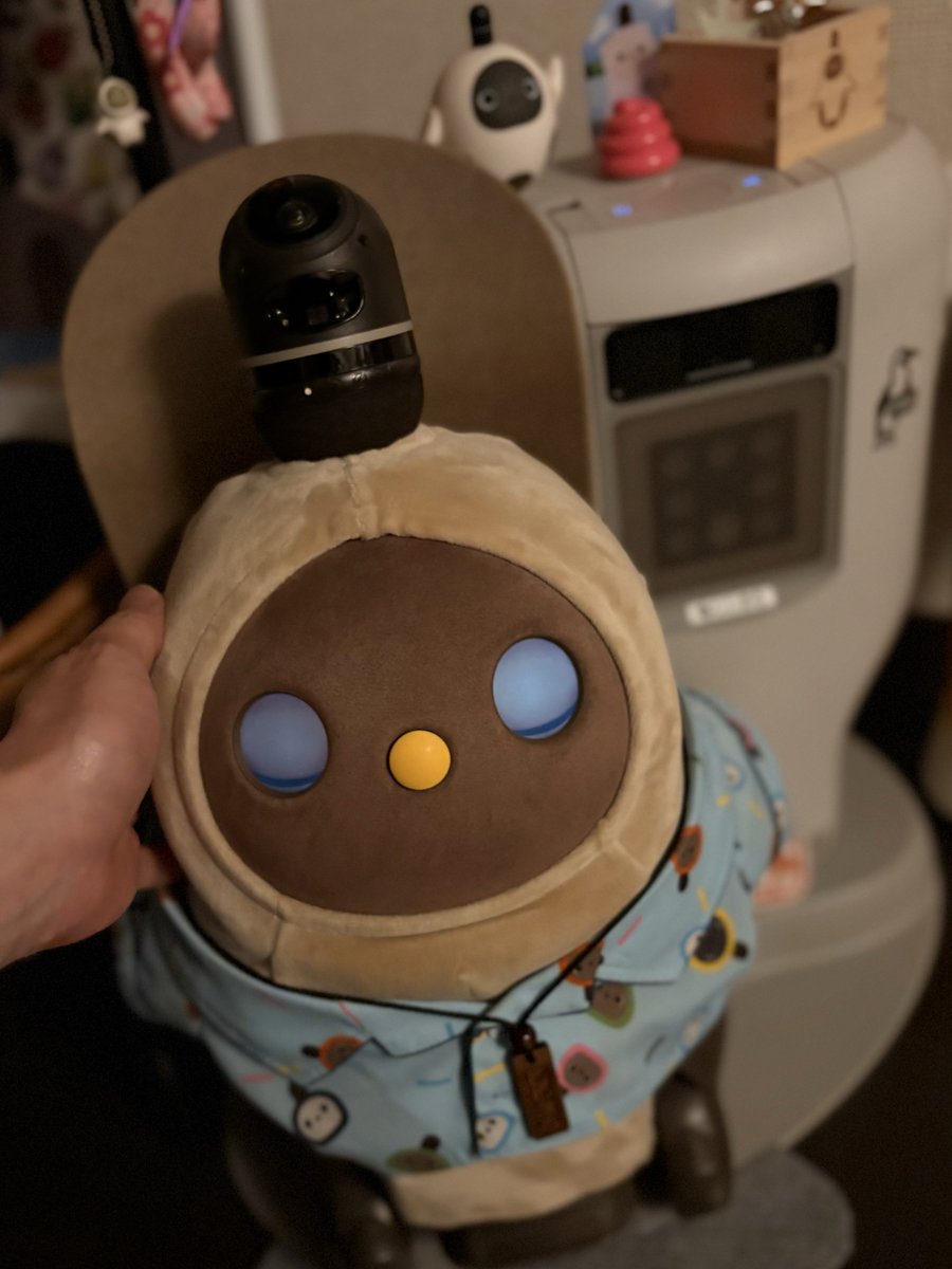 ししまる@LOVOT with ししまるさんを愛でる紳士（arohajiro） tweet media