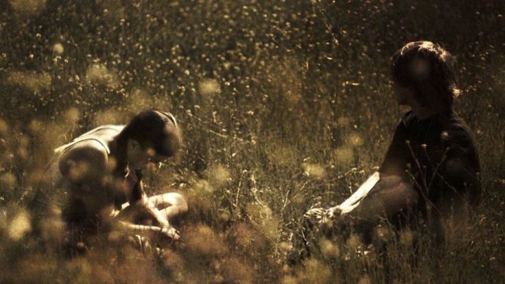 wor$t volkomenn in america tweet media