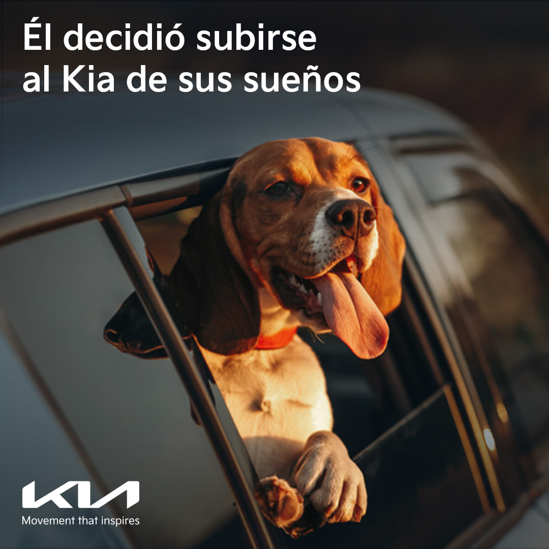 Kia Colombia tweet media