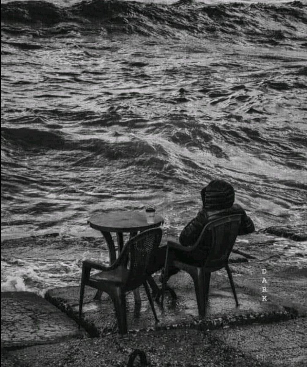 شاٰمۘخ♞ tweet media