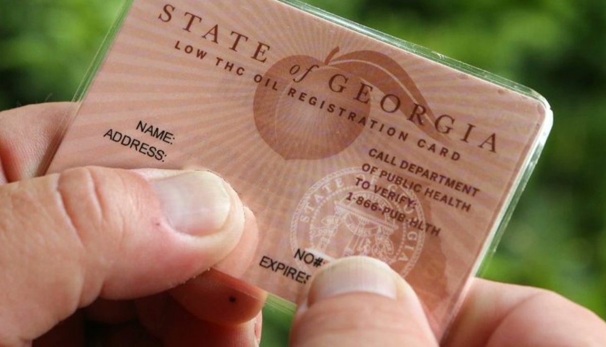 Everything Georgia tweet media