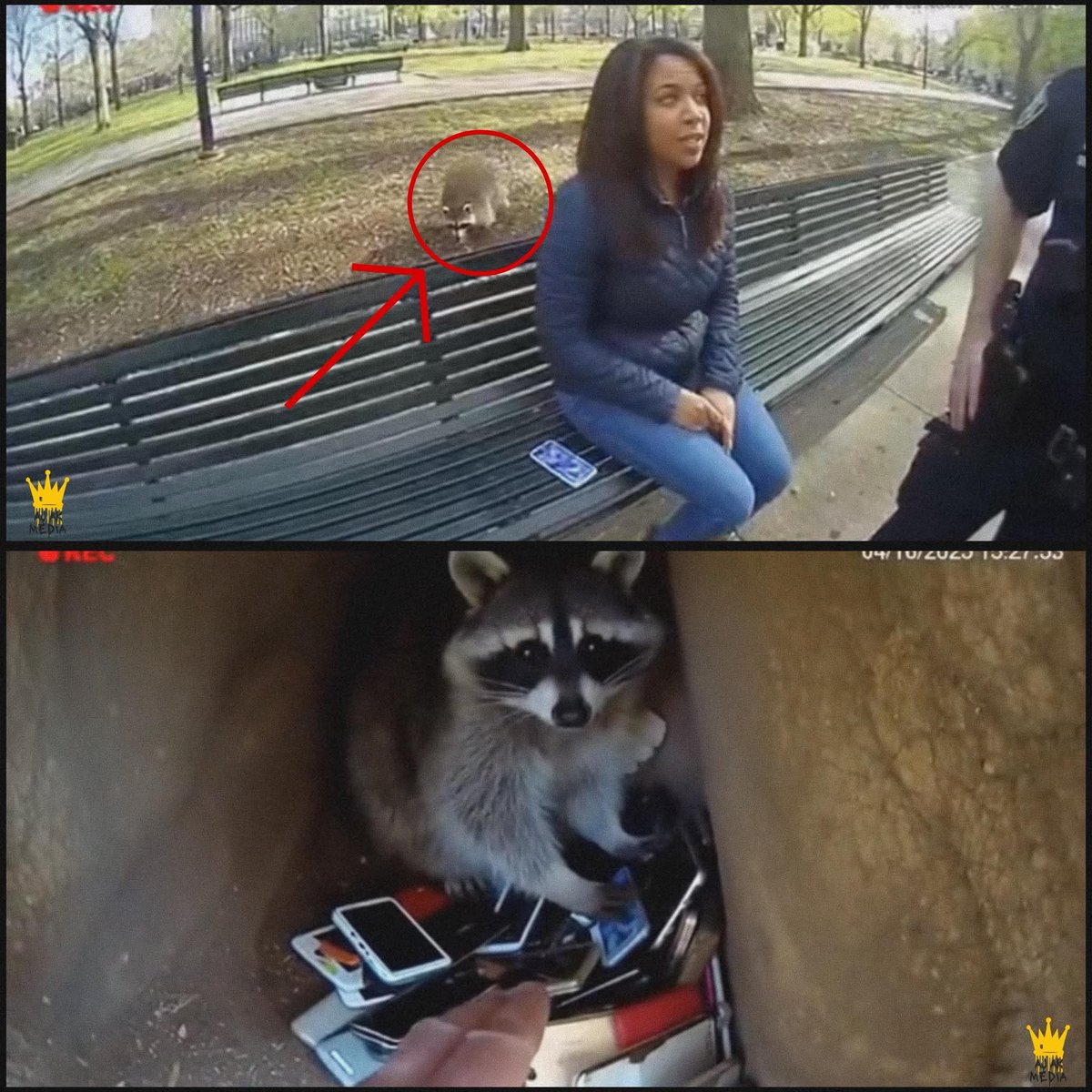 Rufisley | Carácter & Verdad tweet media