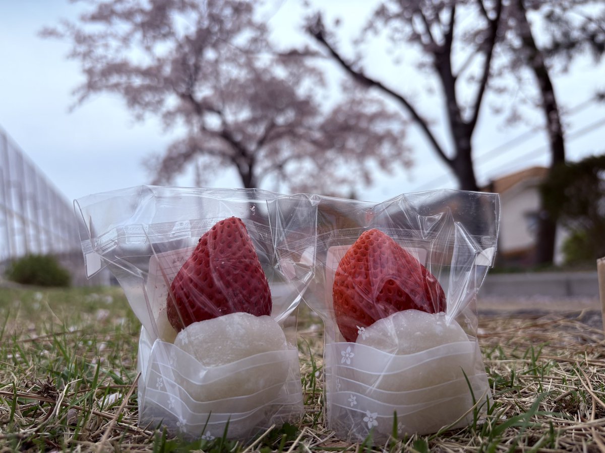 ＊Sanako＊ tweet media