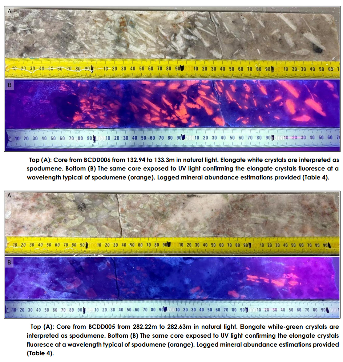 Wildcat Resources (ASX:WC8) tweet media