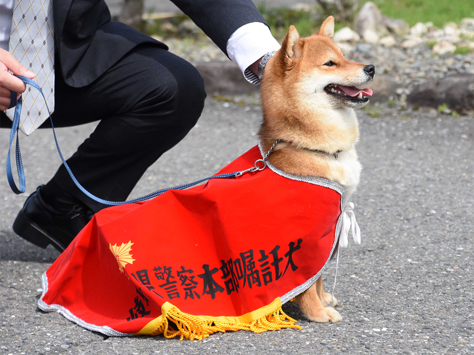 岐阜新聞 tweet media