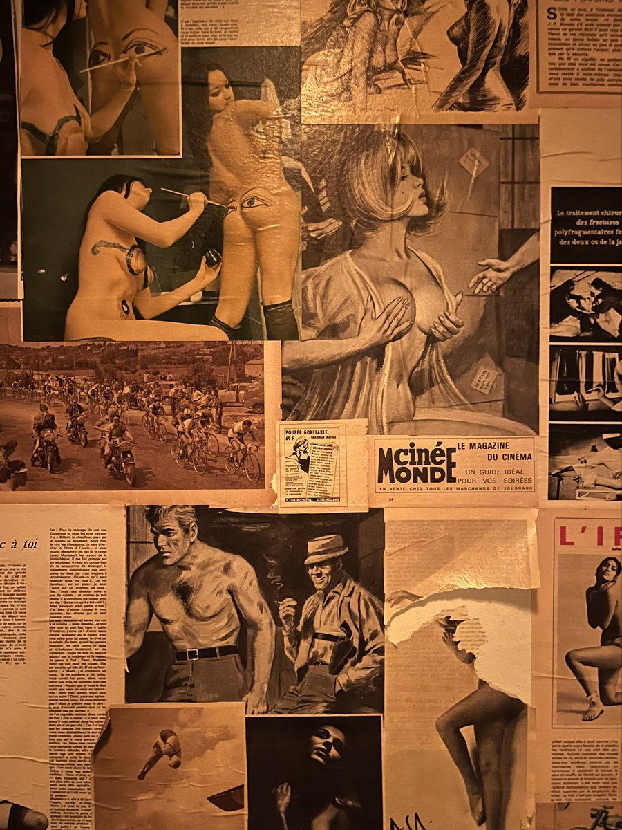 Shannon Cherie tweet media