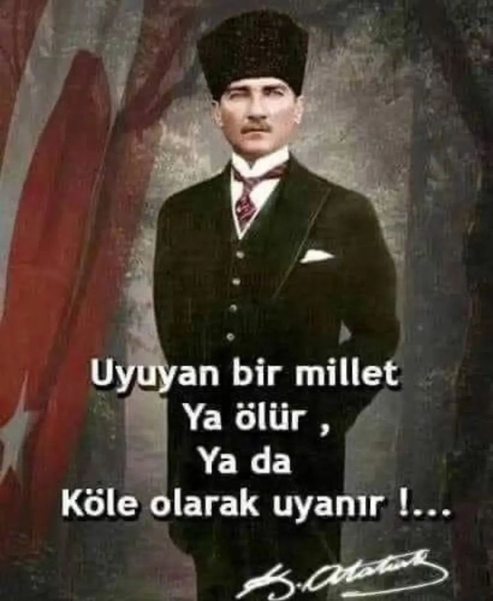 Ali Necip Bakşi tweet media