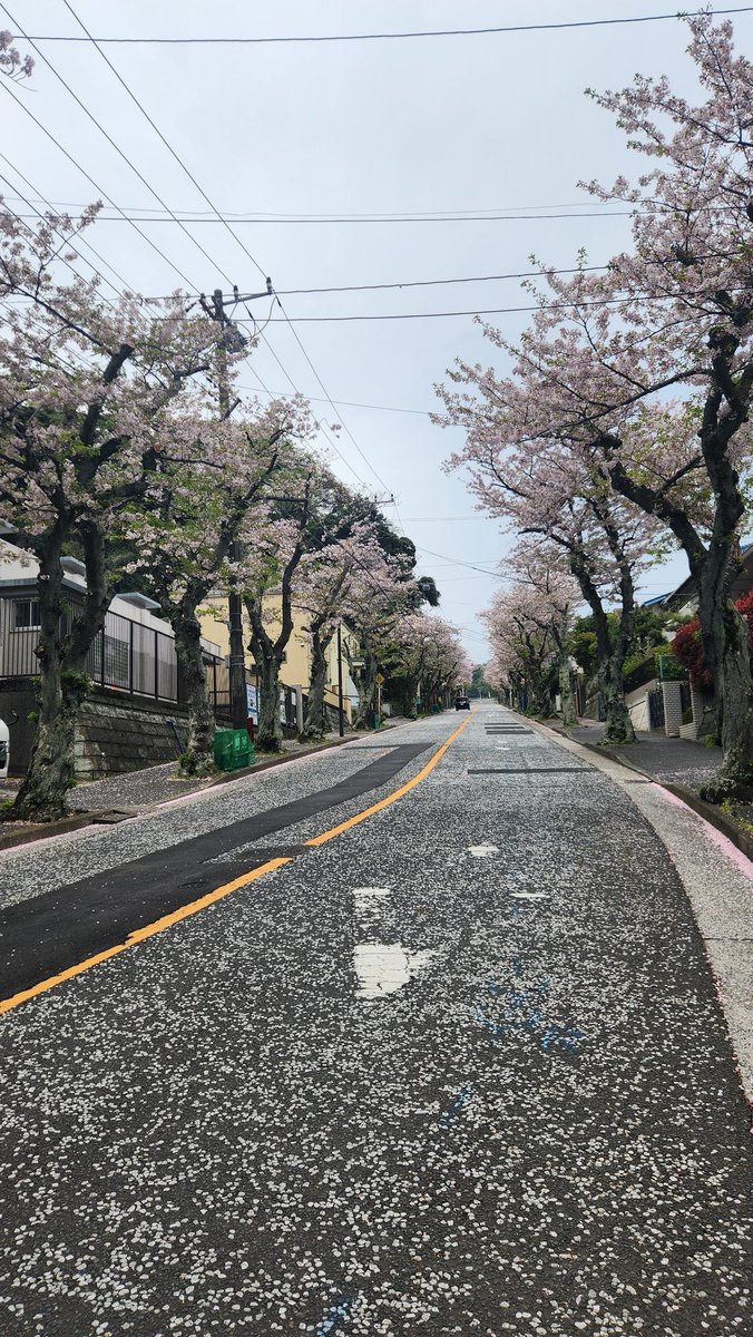 相澤大介 tweet media