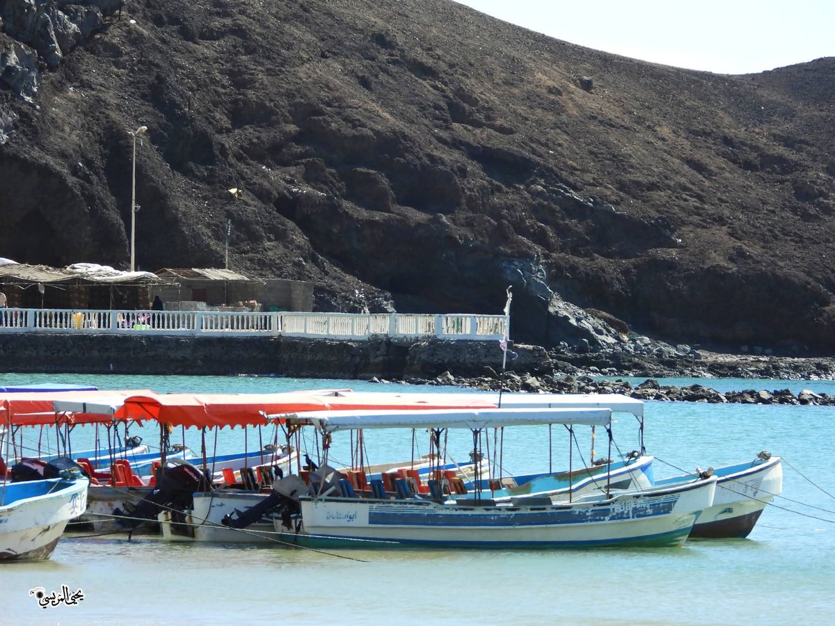 أحمد المعافري tweet media